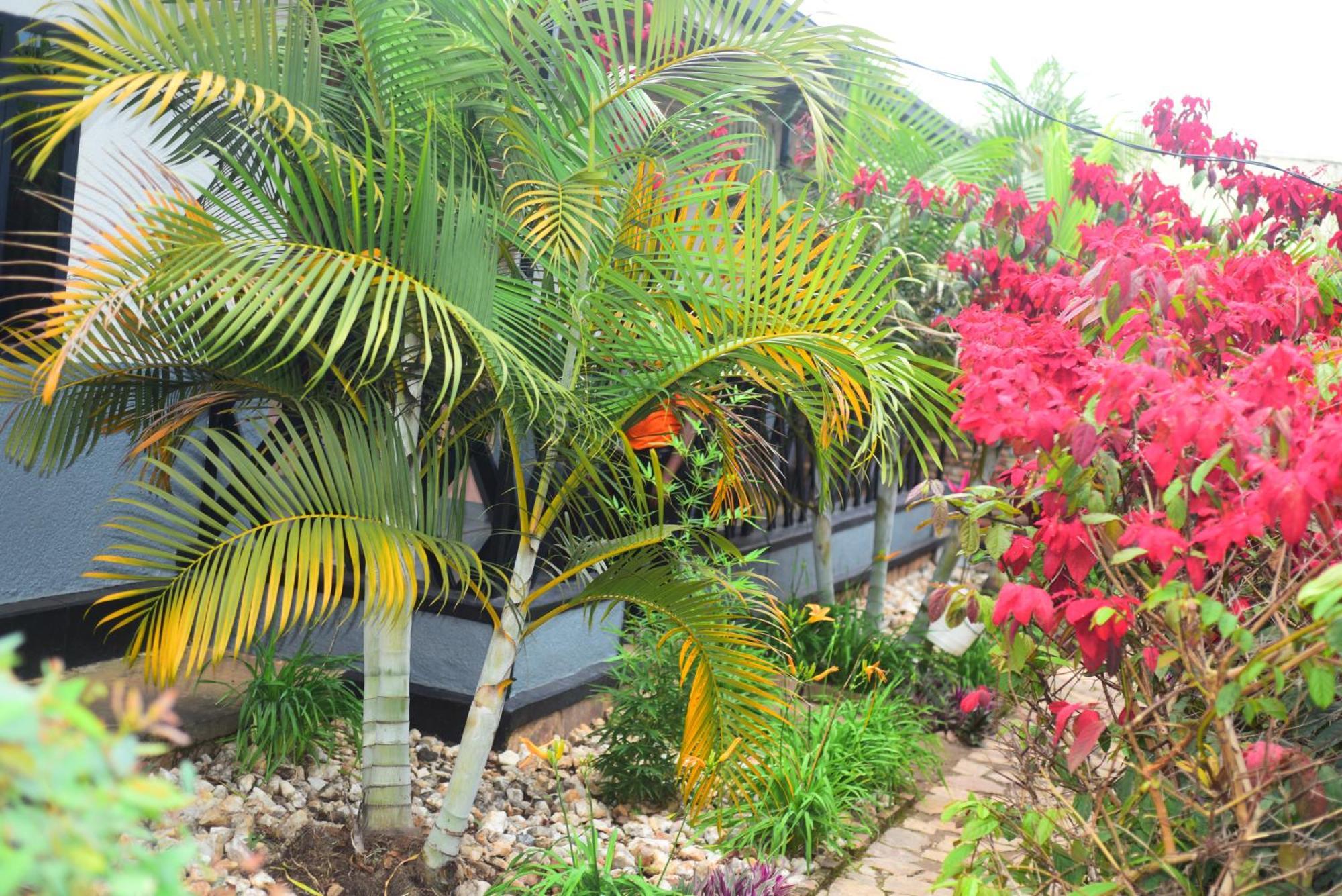 Akagera Neighbors Bed & Breakfast Kabarondo Exterior photo